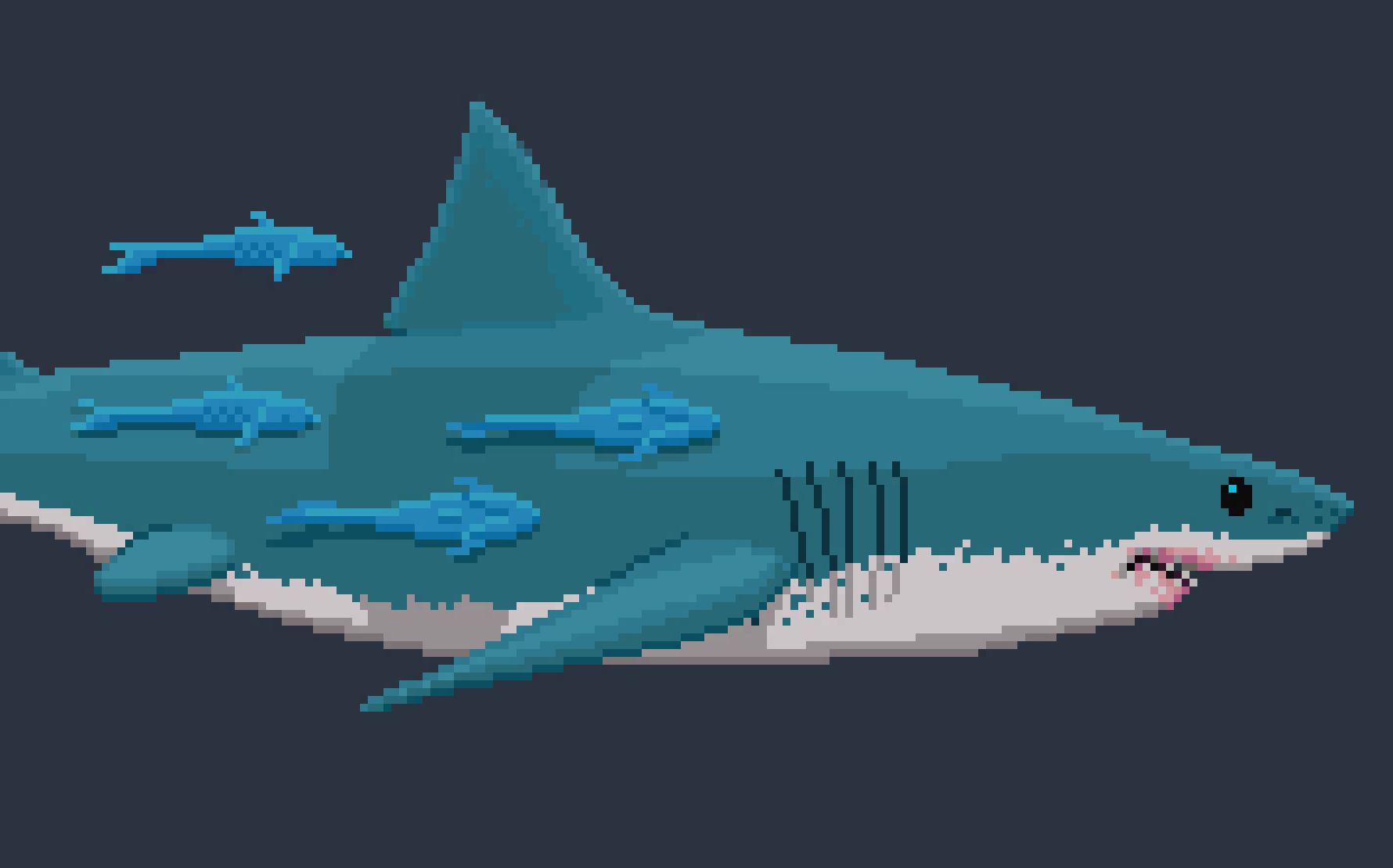 [4a2a29] -[ The Shark sees the Tiger, and approaches it slowly ]-