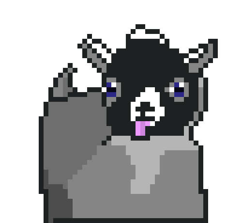 [9664c4] Baby Pygmy Goat