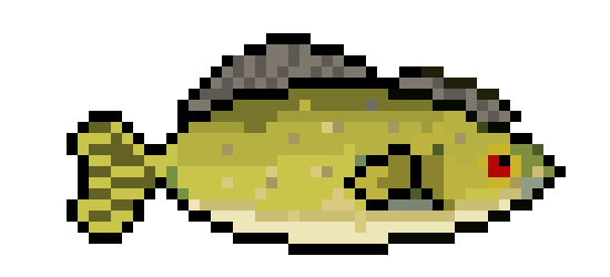 [650301] Smallmouth Bass