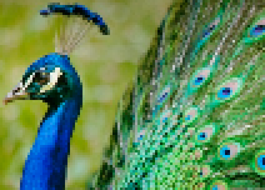 [acbc50] (everyone in their own rp channel or just drawing like i was?)