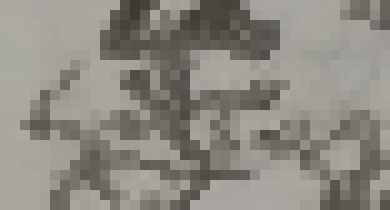 [816c09] some reason* WTH)