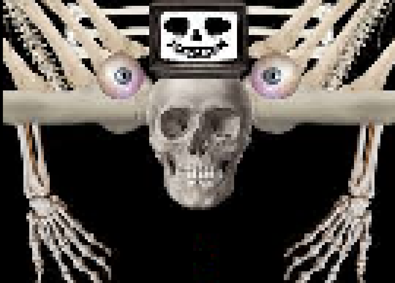 [ef5a09]  what did the skeleton under his bed?