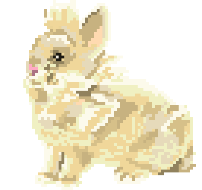 [9664c4] Bunny Rabbit