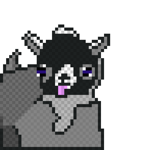 [9664c4] Baby Pygmy Goat