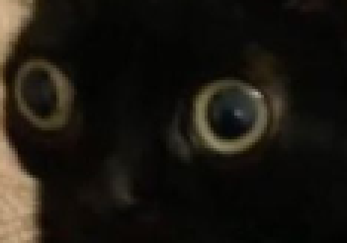 [a56108] I'll probably say "Wtf" 11 times in this next episode.