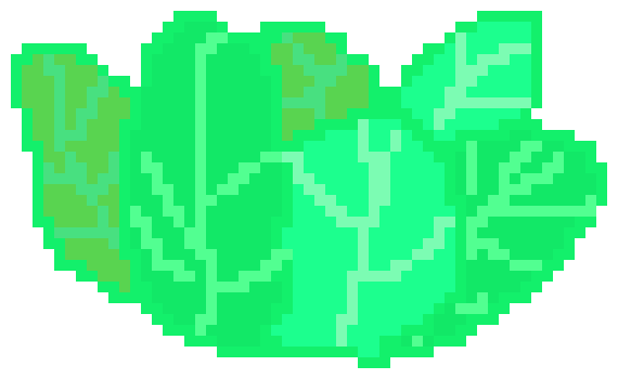 [9664c4] A BUNCH OF LETTUCE!!!