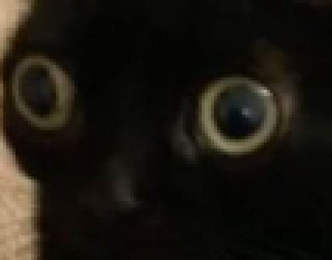 [a56108] *Audible crunching* 