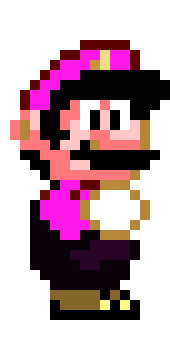 [842b2e] The Fire Mario Behind the Slaughter