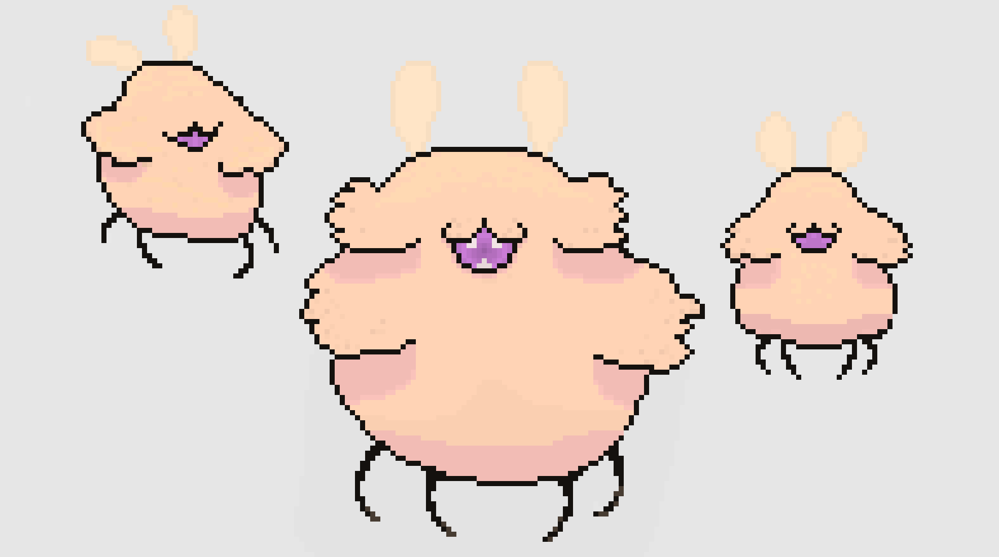 [d77c21] Fluffy Fleas!