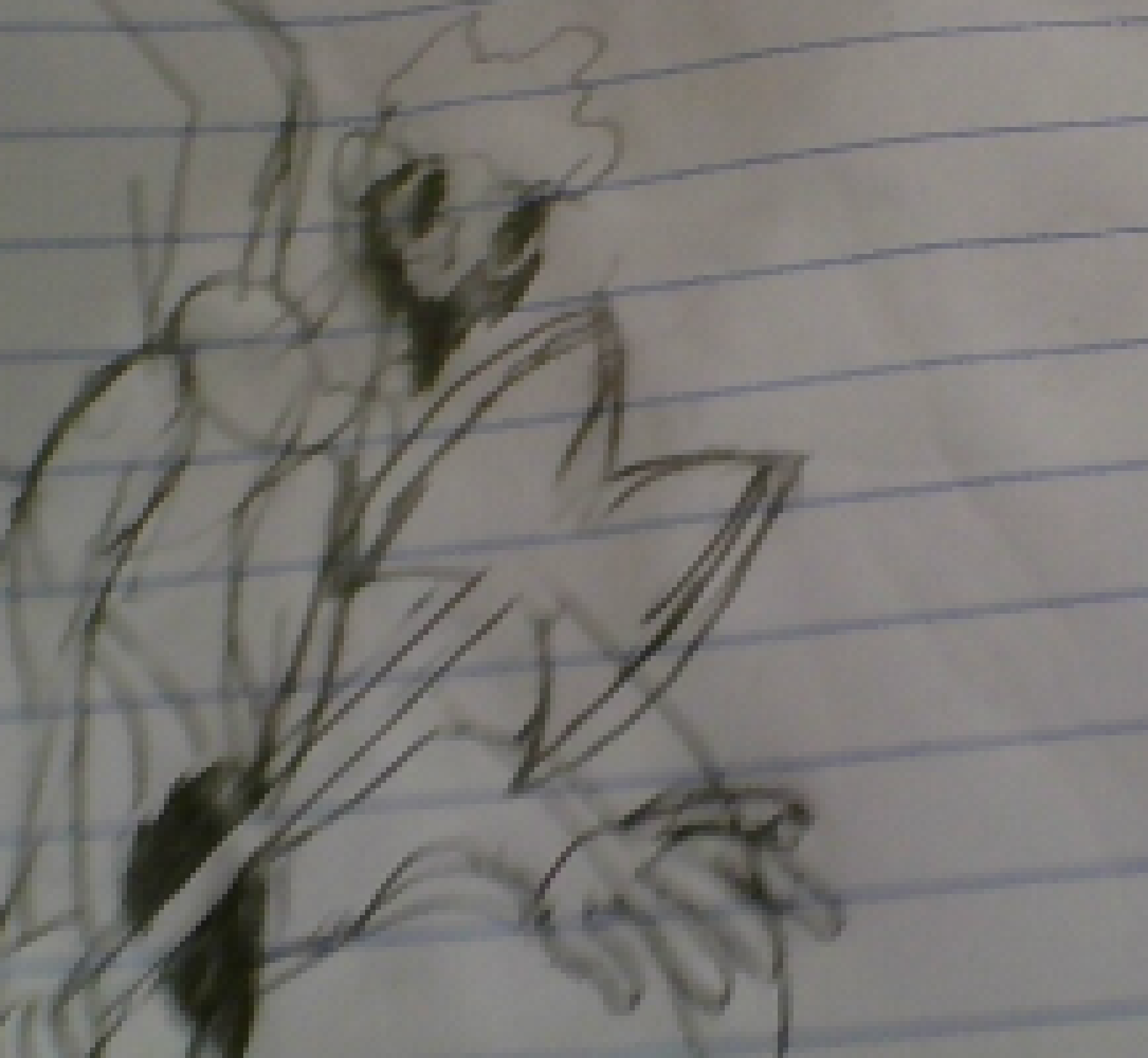 [5a5c9c] (Eh. Im showing it anyways. and yes, i hand-drew this)