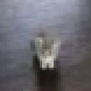 [4955e4] wuh happen,,