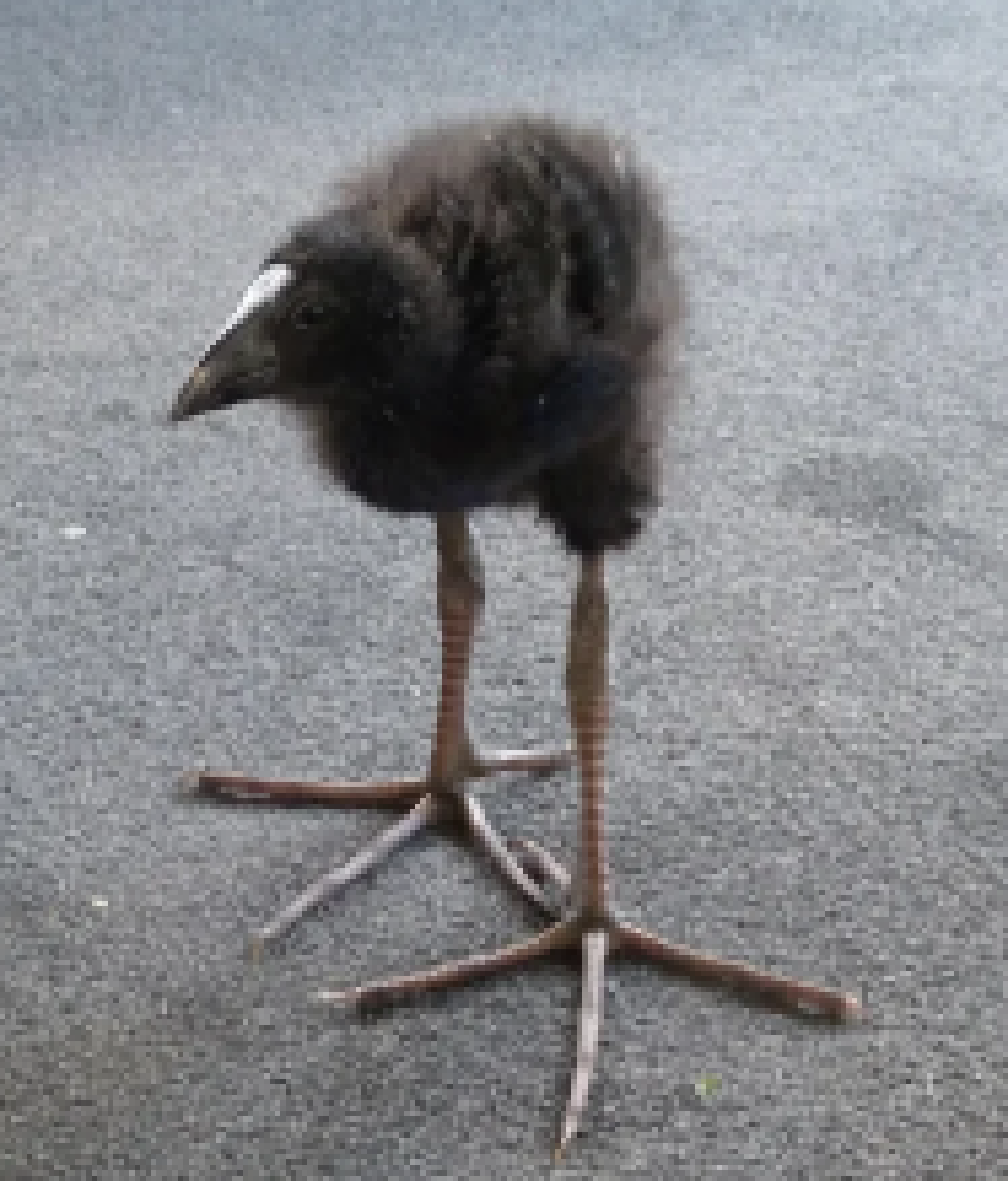 [35dc76] DAMN!!!!!!!!!!!!!!!!!!!!!!!!!!!!!!!!!