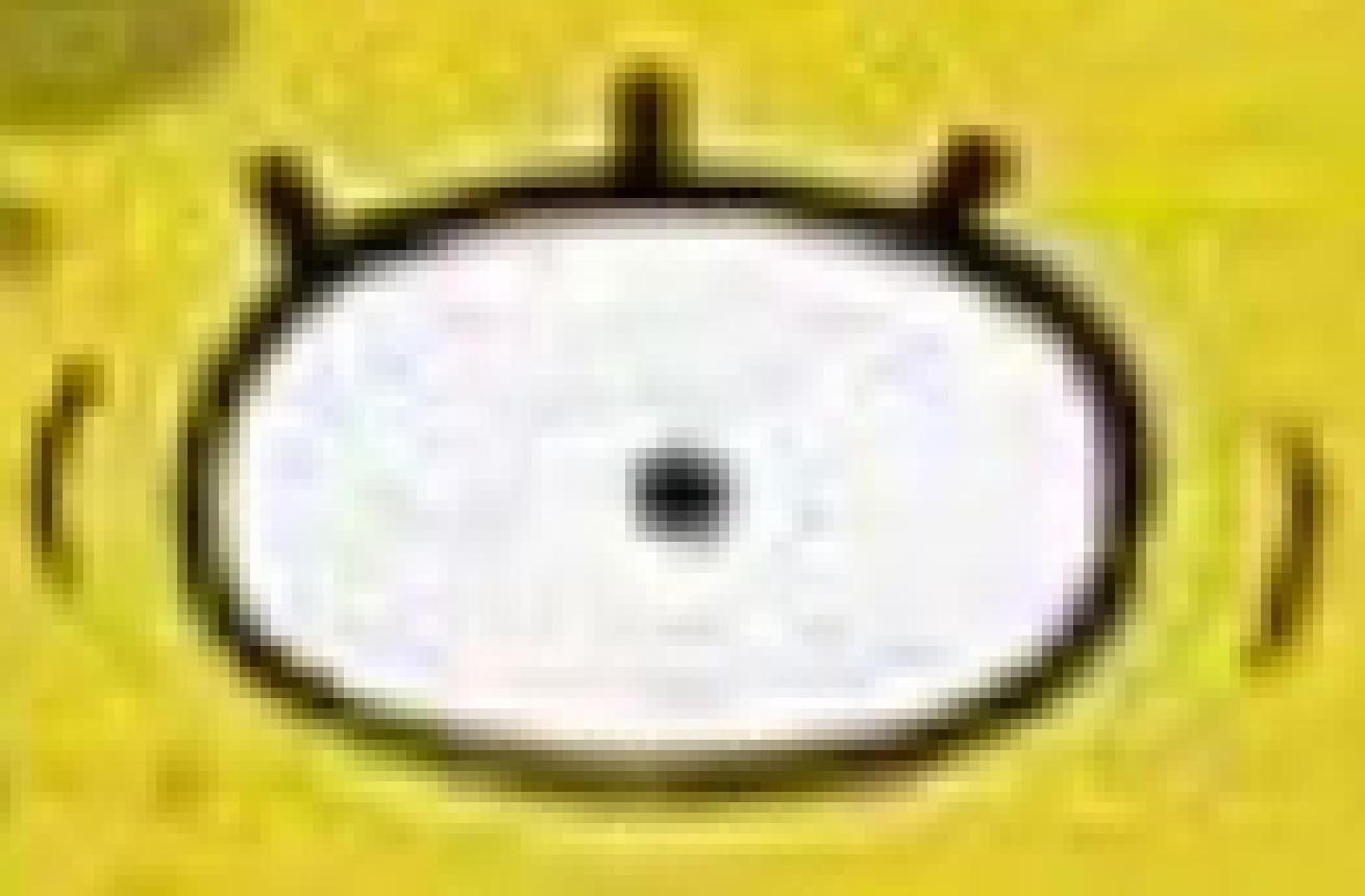 [960c88] ((AndAlsoIGetNervousSharingMyStuff--))