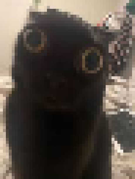 [35dc76] instantly ban twobit!1!!1111!