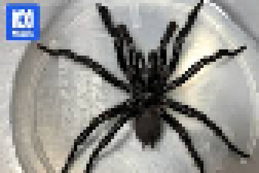 [09d757] they just be summoning eldritch beasts down there bro