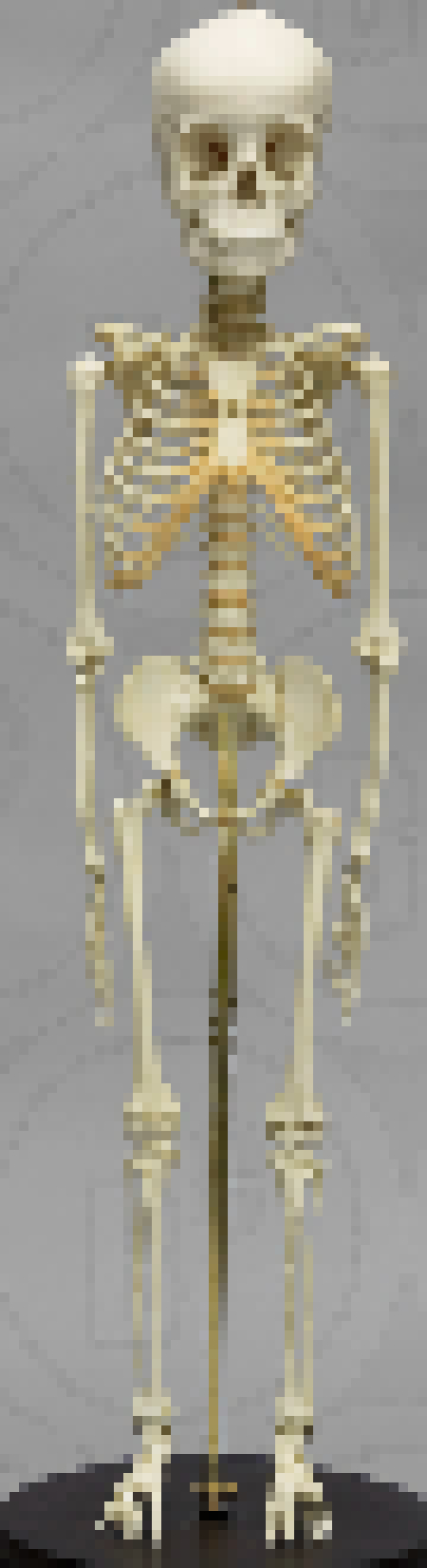 [ad439c] Actually this is every fucking sans sprite user on PAM's fanart.