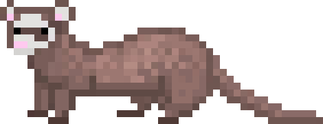 [2bfb86] ferret_3