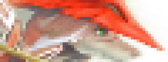 [2d9115] I understand everyone`s worry and, I too hope that they don`t do anything "extreme" (if that is the appropriate word), but... to best explain this, there`s this word, "Verschlimmbessern". It has no equal English meaning, but it describes the thought of trying to improve something, only to make it worse. As Inky already asked us to stay out of it, we should probably do as they say. Yes, maybe if things get too out of hand, you should intervene, but until then, we should comply out of respect. -Meepsworth