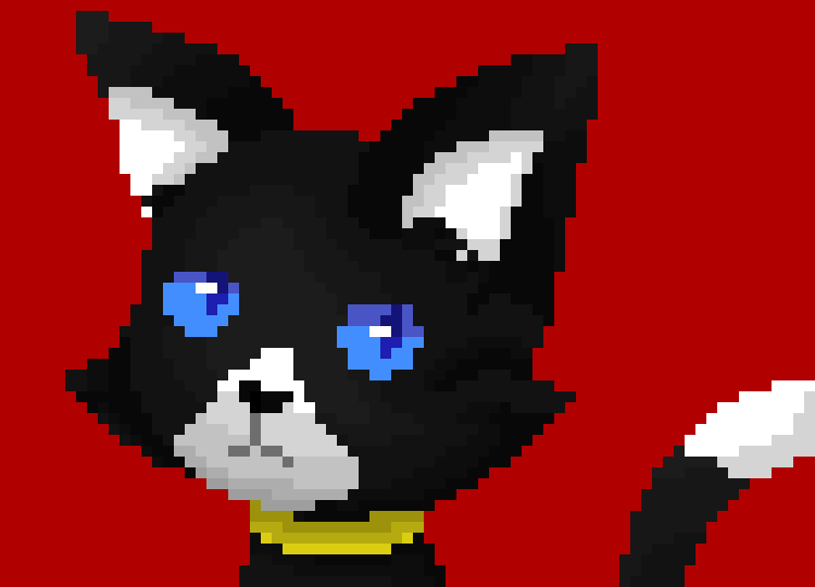 [f7c573] im not a cat, im a human that was turned into a cat.. im trying to regain my memory to try to return to being a human!!