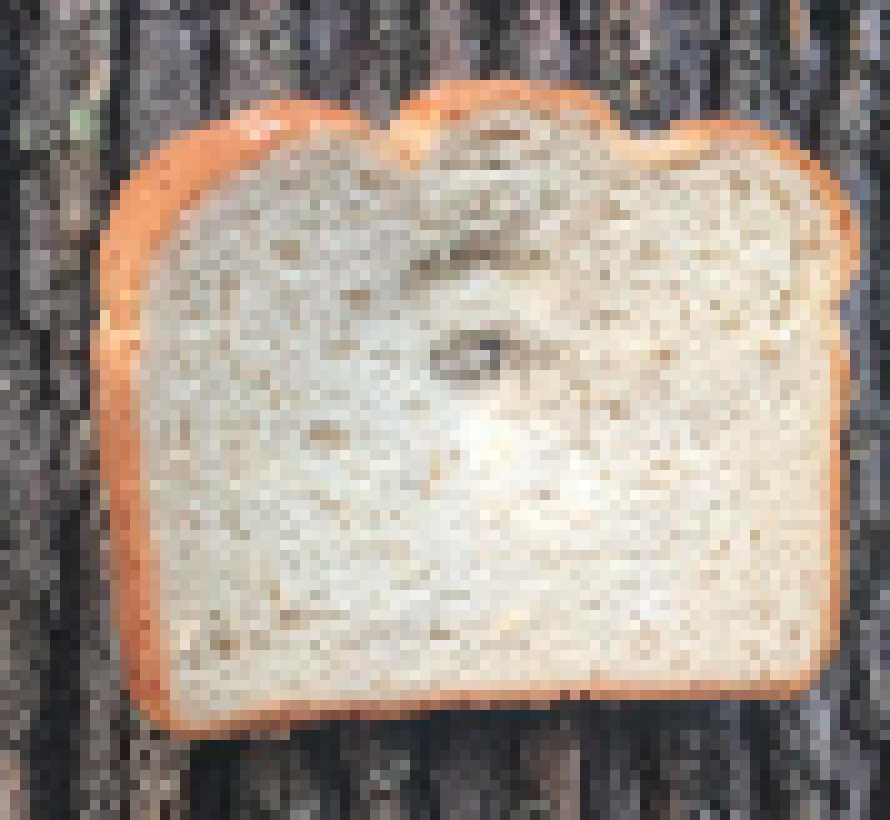 [990543] Nobody can stop me 