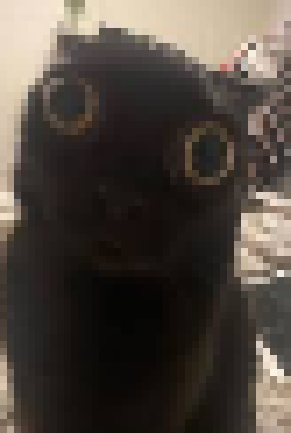 [35dc76] pam jimmy appearance hi jimmy :D