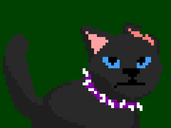 [d0027a] Scourge is a small black tom with one white paw, ice-blue eyes, glossy fur, and a torn left ear. He has a purple collar studded with teeth from dogs and cats, and claws reinforced with dogs' teeth. Scourge was the founder and the first leader of BloodClan.-Oreo  