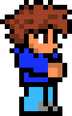 [9664c4] Terraria Character