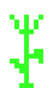 [9664c4] Marshmallow Plant