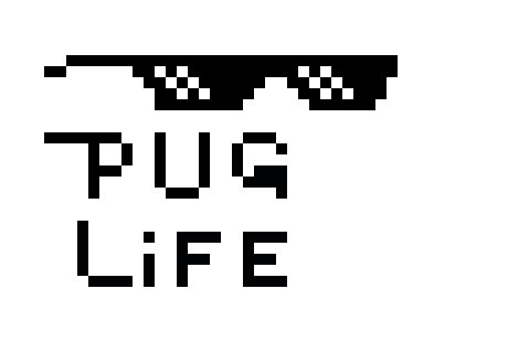 [9664c4] pug life