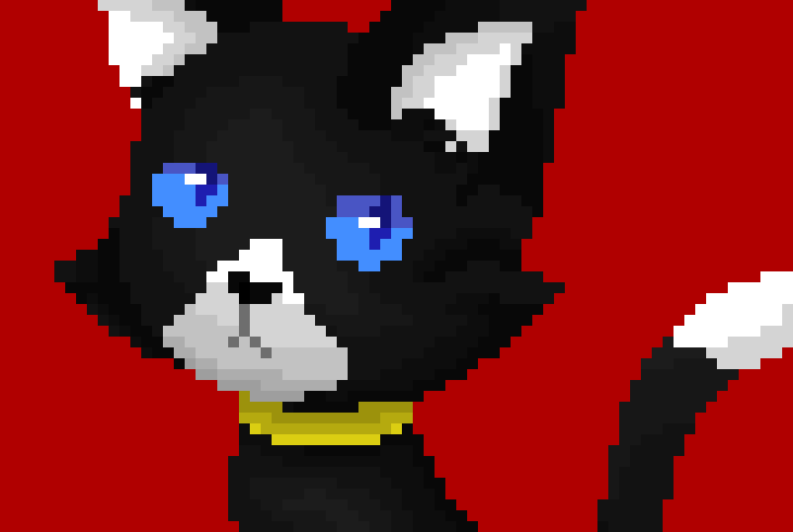 [f7c573]  • • • 