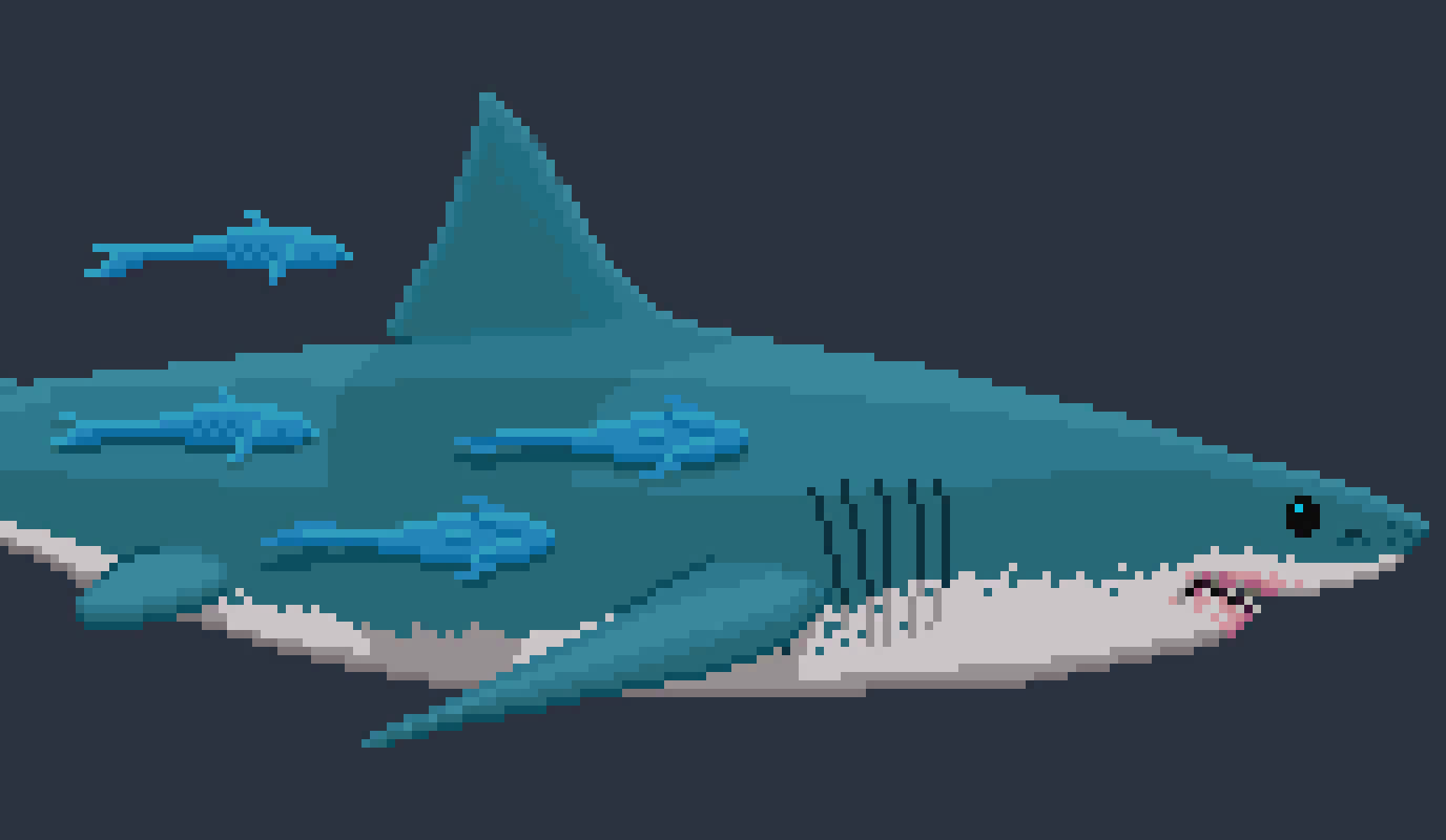 [4a2a29] -[ The sound it makes when the Great White shuts closed it`s mouth alerts the Tiger. ]-