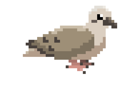 [744d22] Pigeon
