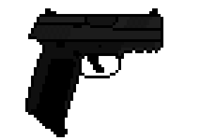 [9664c4] FN FNS 9C Compact Handgun Loaded