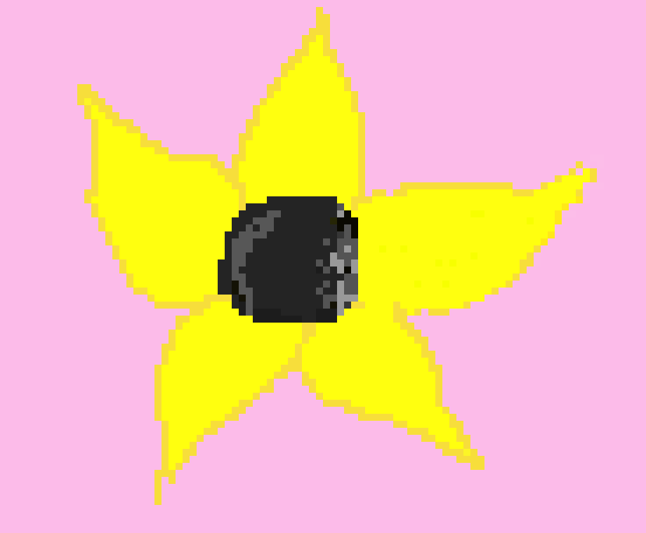 [484d9c] Madeleine's Sunflower 5/6C