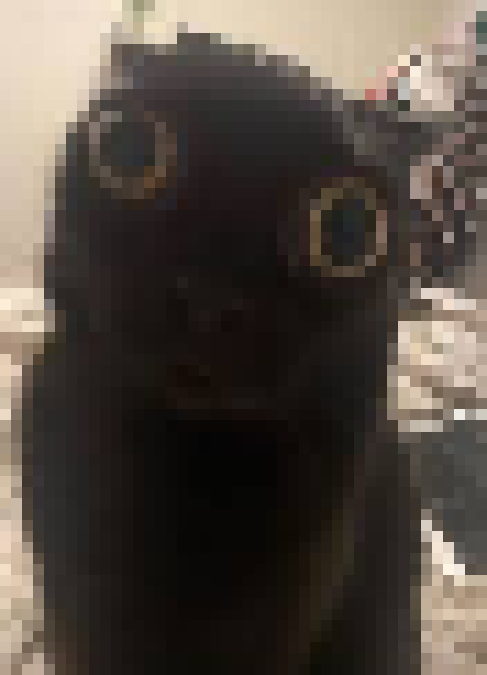 [35dc76] image of bmo swimming on the surface of the sun