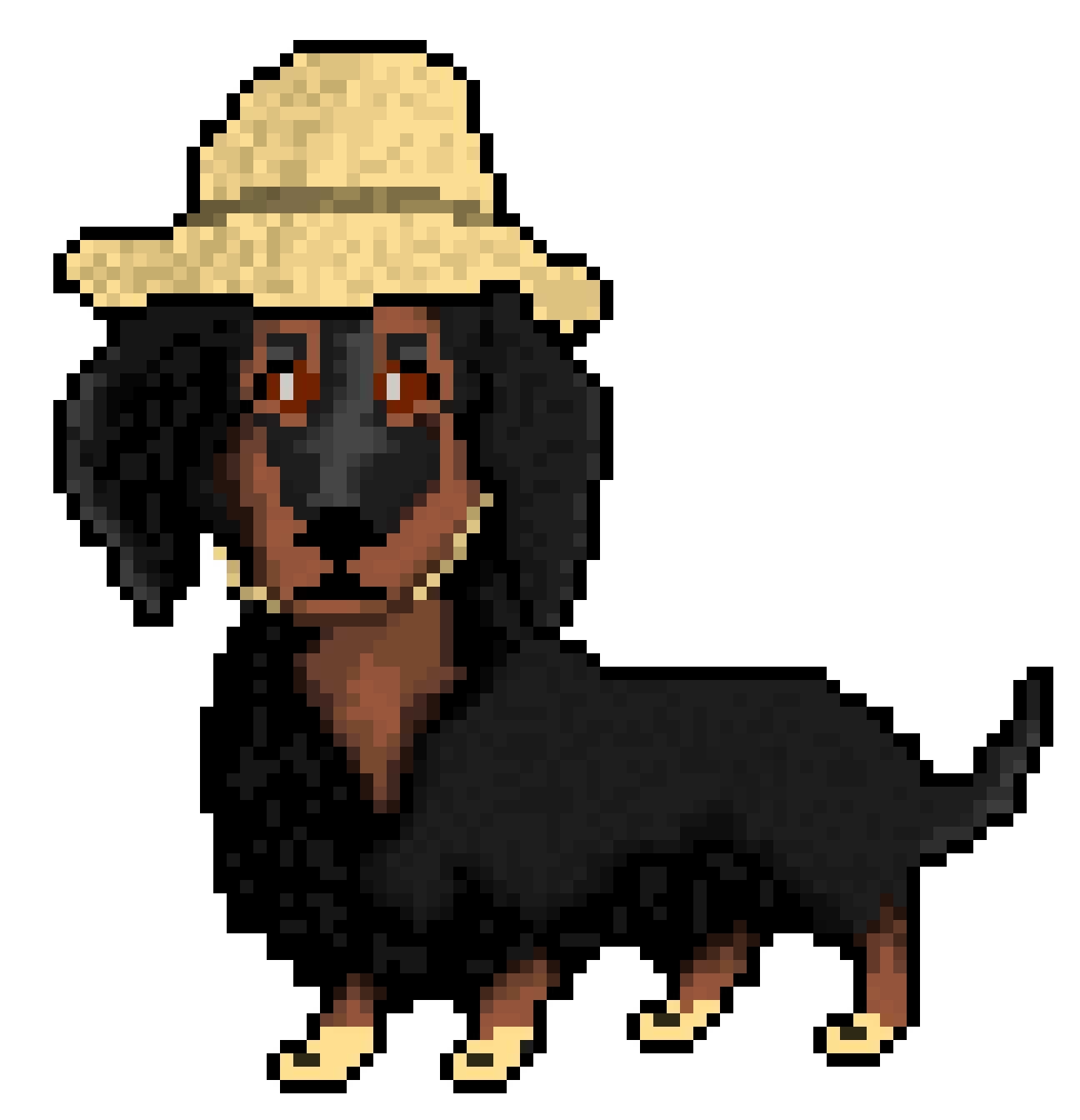 [c10774] testMineiroSandal