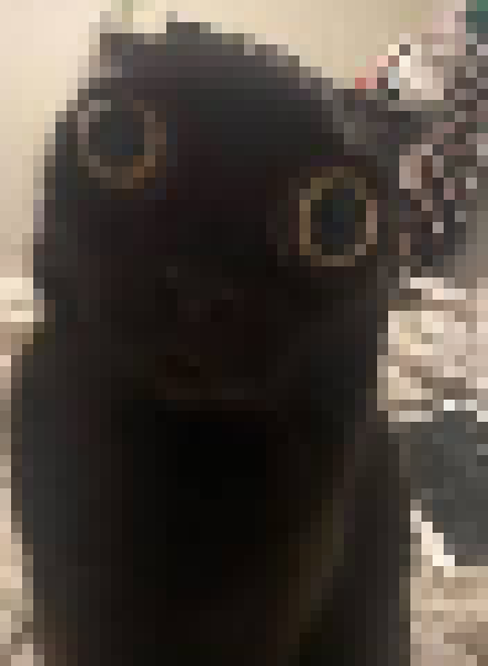 [35dc76] my motivation has gone to zero chat