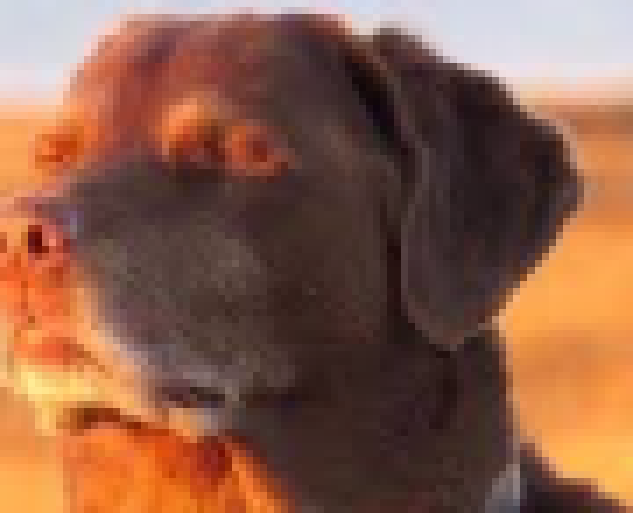 [27c958] it's like 12:34 CST where do you live :sob: