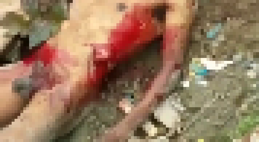 [4a11cf] Heres your THIRD One Proxie test,,