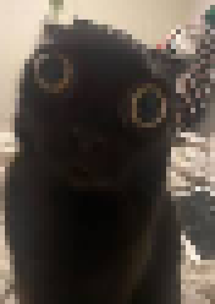 [35dc76] its where john got the blue mark under his eye from now shhhhh