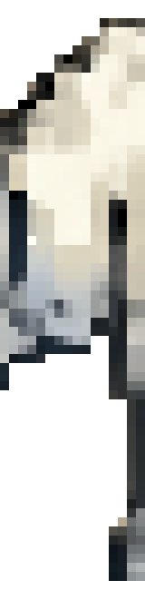 [572871] leftSholder