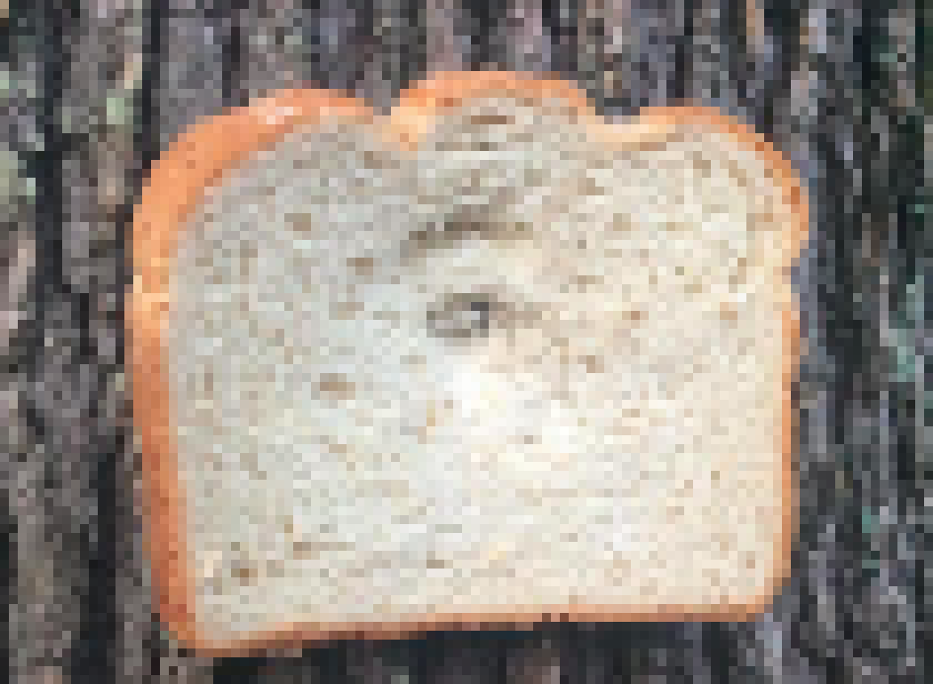 [990543] *Bread is stapled to a tree, somewhere in PAM.*