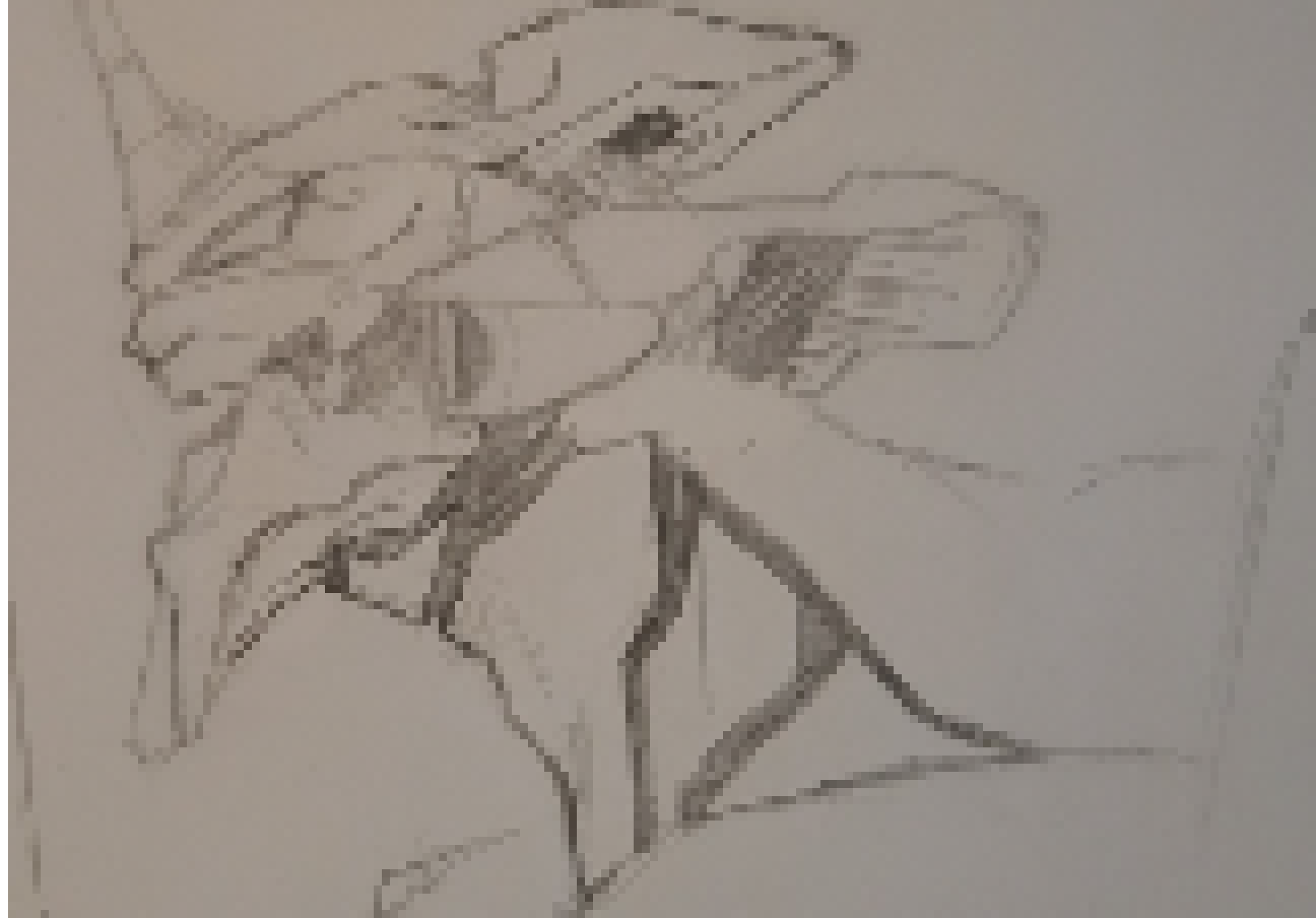 [1cf99b] IMPORT RIGHT GOD DAMNI