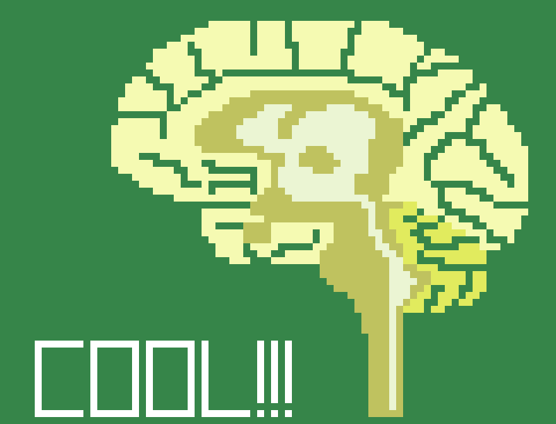 [652054] Lateral Brain