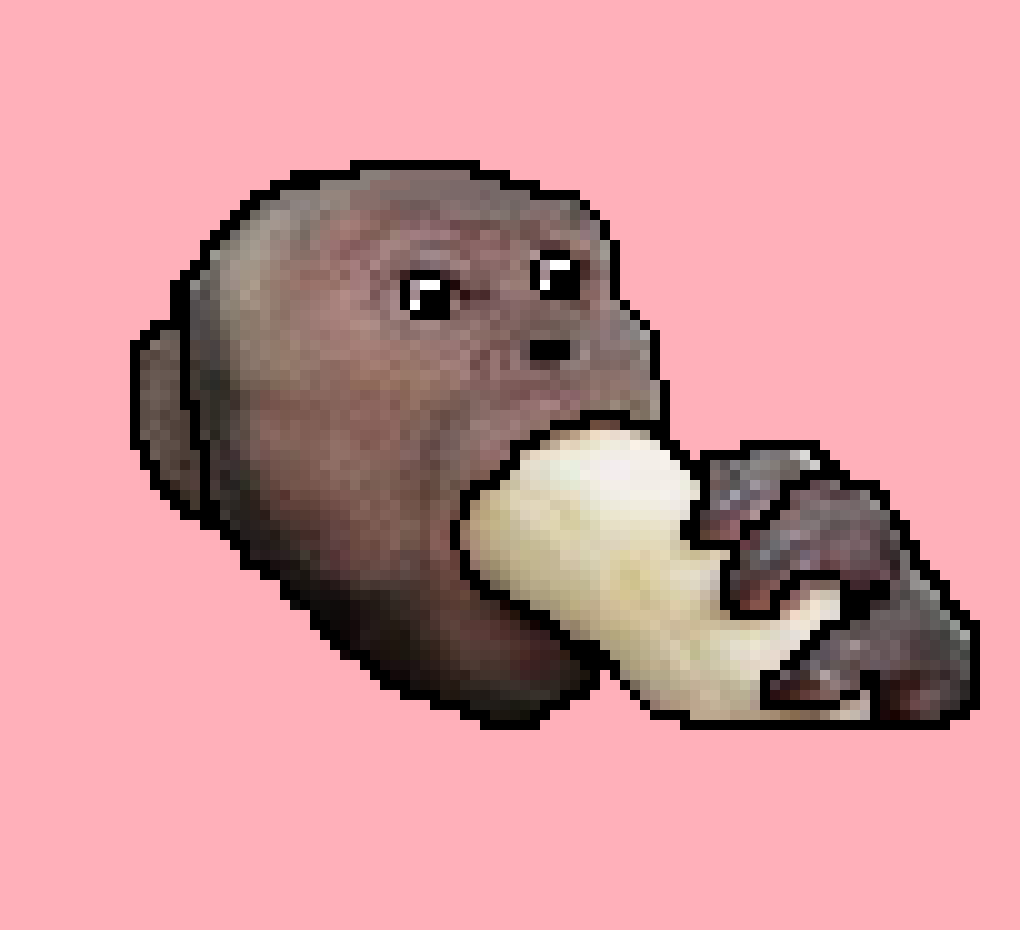 [beb555] mims' monkey