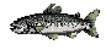 [0a671e] noble atlantic salmon