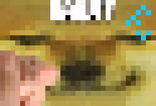 [48193a] Oh it's T! Hey T! -John