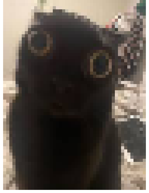 [35dc76] "too shitty" shows what looks like sans's face