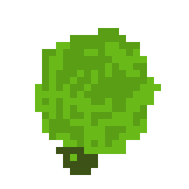 [9664c4] cabbage