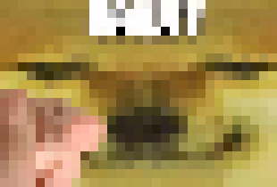 [990543] Bad Horny, I see you.